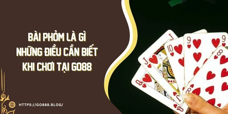 Bài Phỏm Là Gì? Những Điều Cần Biết Khi Chơi Tại Go88 4 Bài Phỏm Là Gì? Những Điều Cần Biết Khi Chơi Tại Go88