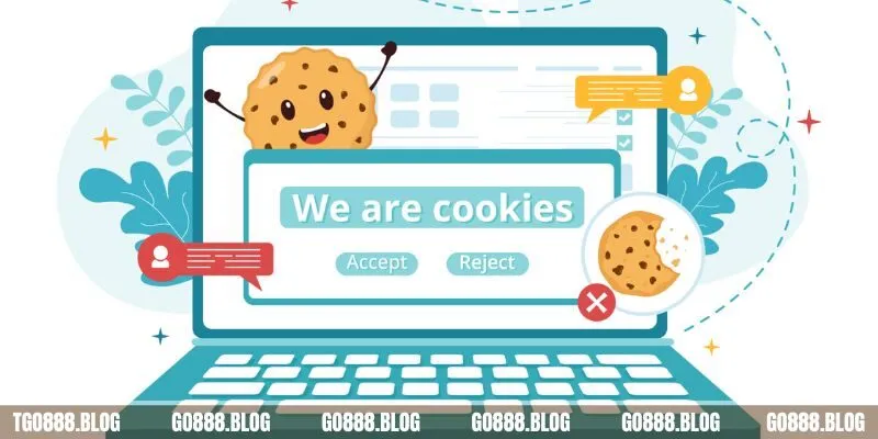 Chính Sách Cookie 3 Chính sách thu thập dữ liệu tại nhà cái