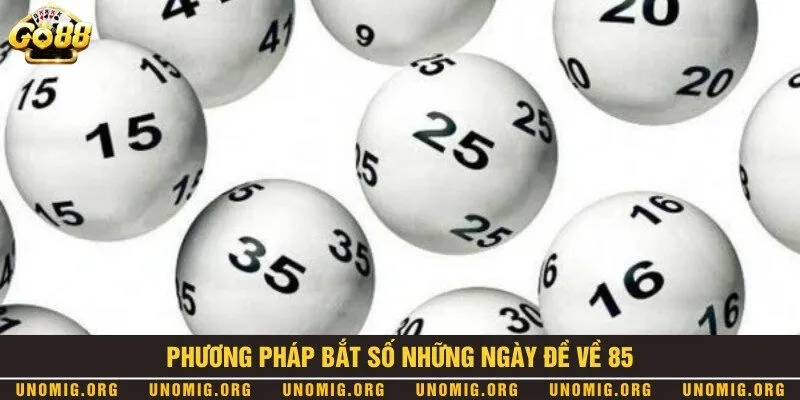 Khám phá đề về 85 hôm sau ra con gì thu lợi nhuận đỉnh cao 2 3 phương pháp bắt số hiệu quả khi đề về 85