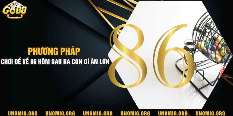 Phương pháp chơi đề về 86 hôm sau ra con gì ăn lớn 3 Phương pháp chơi đề về 86 hôm sau ra con gì ăn lớn